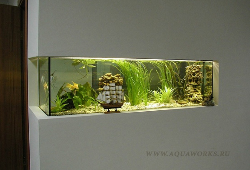 Светодиодный светильник для аквариума. Выбор лучшего светового спектра источника освещения.