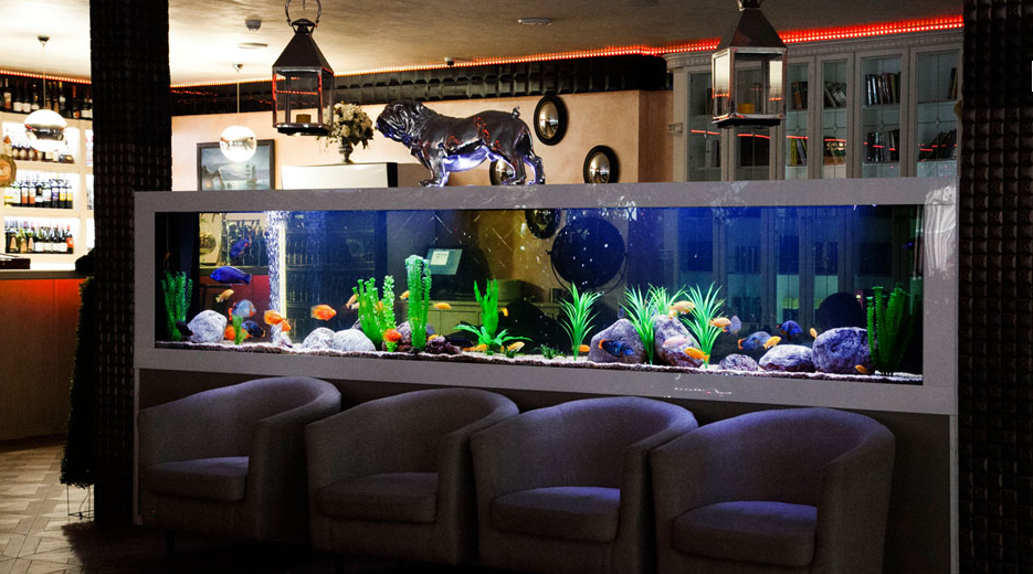 5 правил светодиодной подсветки аквариума