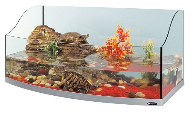 Дизайн аквариума для черепашки