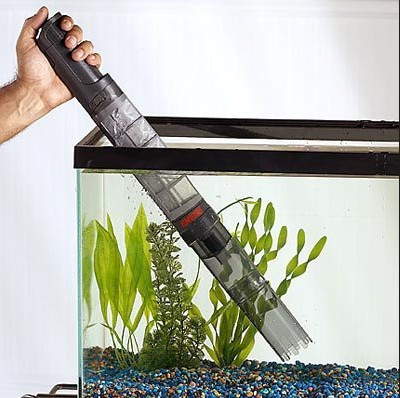 Как применять сифон для грунта аквариума?