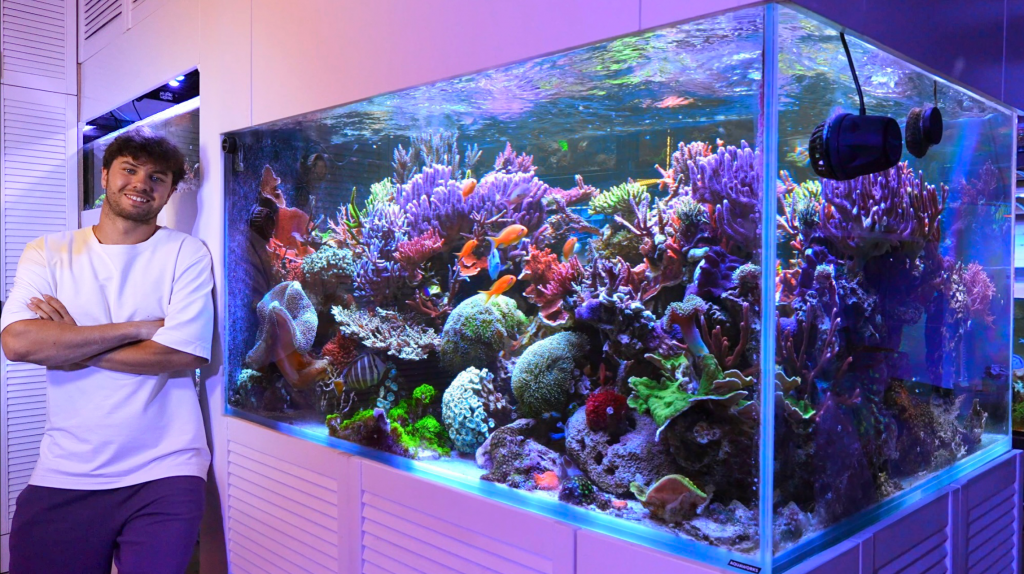 ������� �������� � ���������� ����