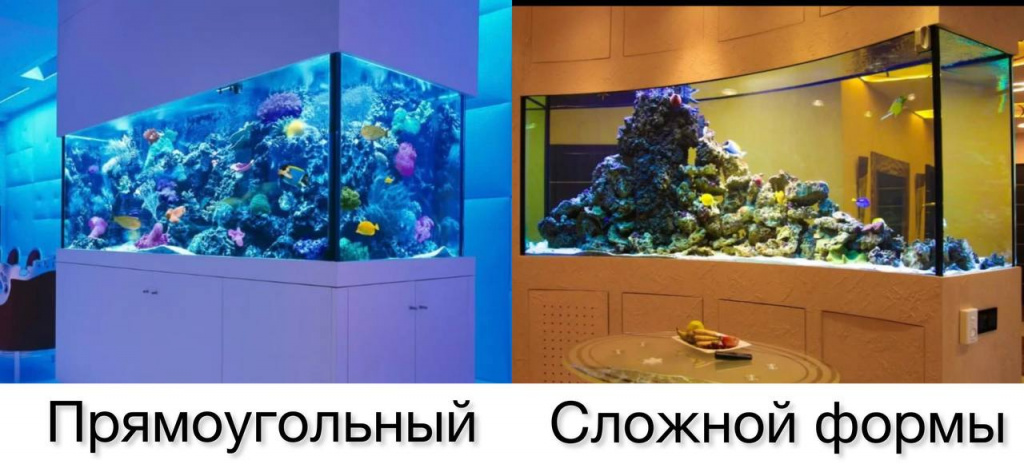 Проектирование аквариумов